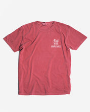Christian T-Shirt - Run with Endurance Crimson Comfort Colors Tee - Proclamation Coalition