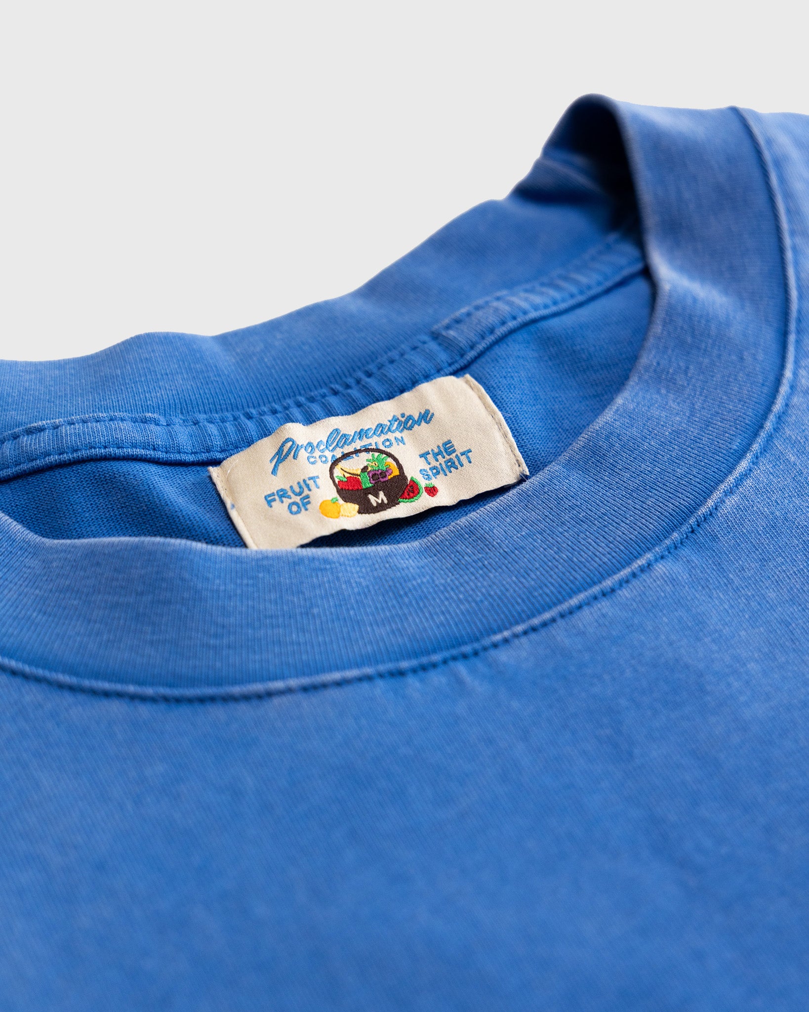 "Fruit of the Spirit - Felt Board" Vintage Tee