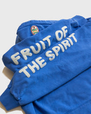 "Fruit of the Spirit - Felt Board" French Terry Hoodie