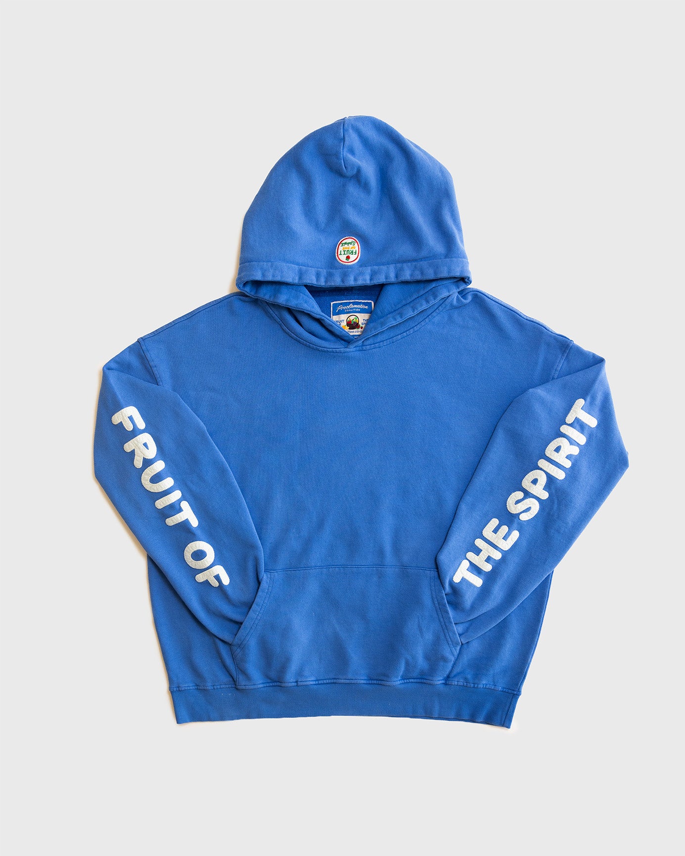 "Fruit of the Spirit - Felt Board" French Terry Hoodie