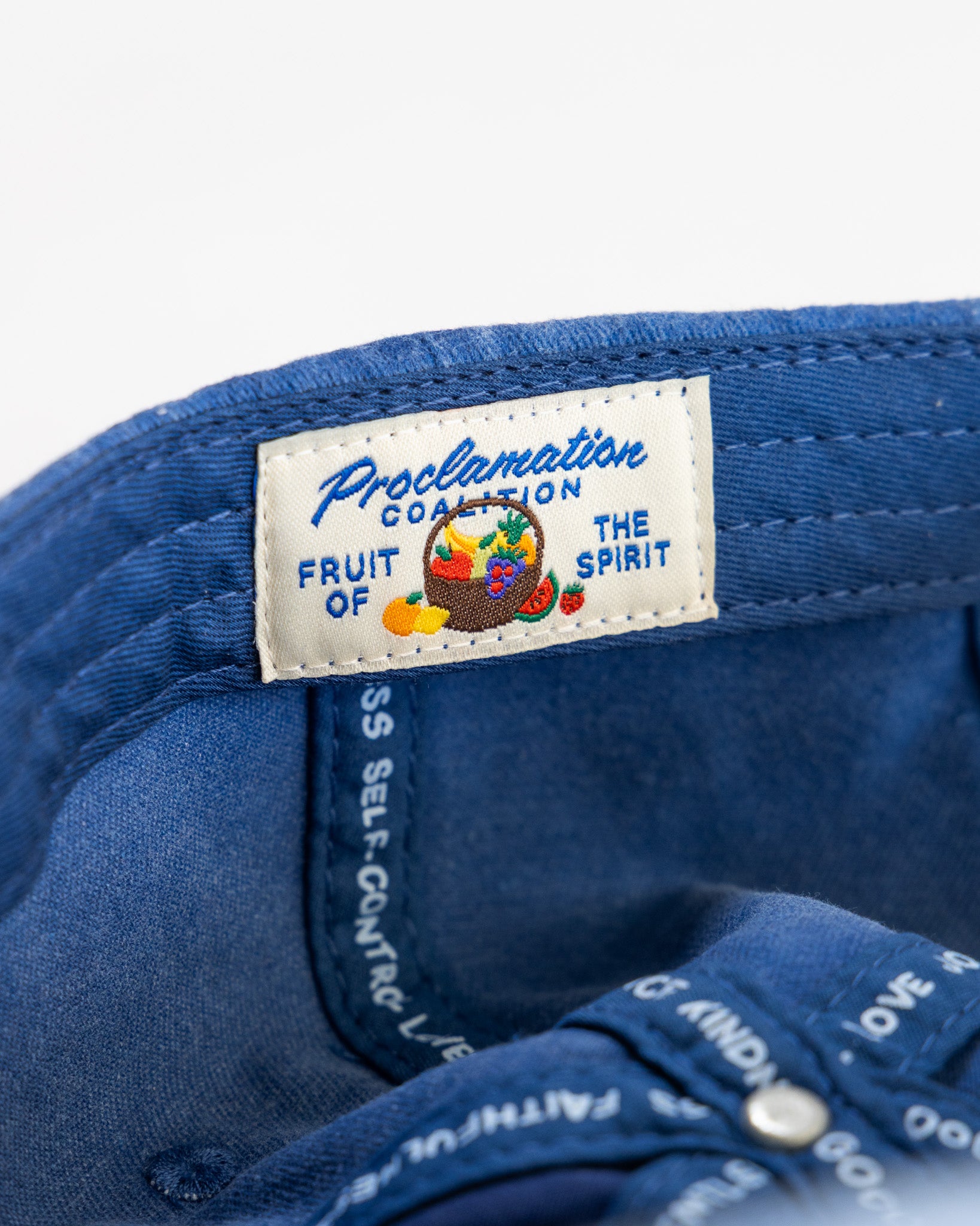 "Fruit of the Spirit" Dad Hat