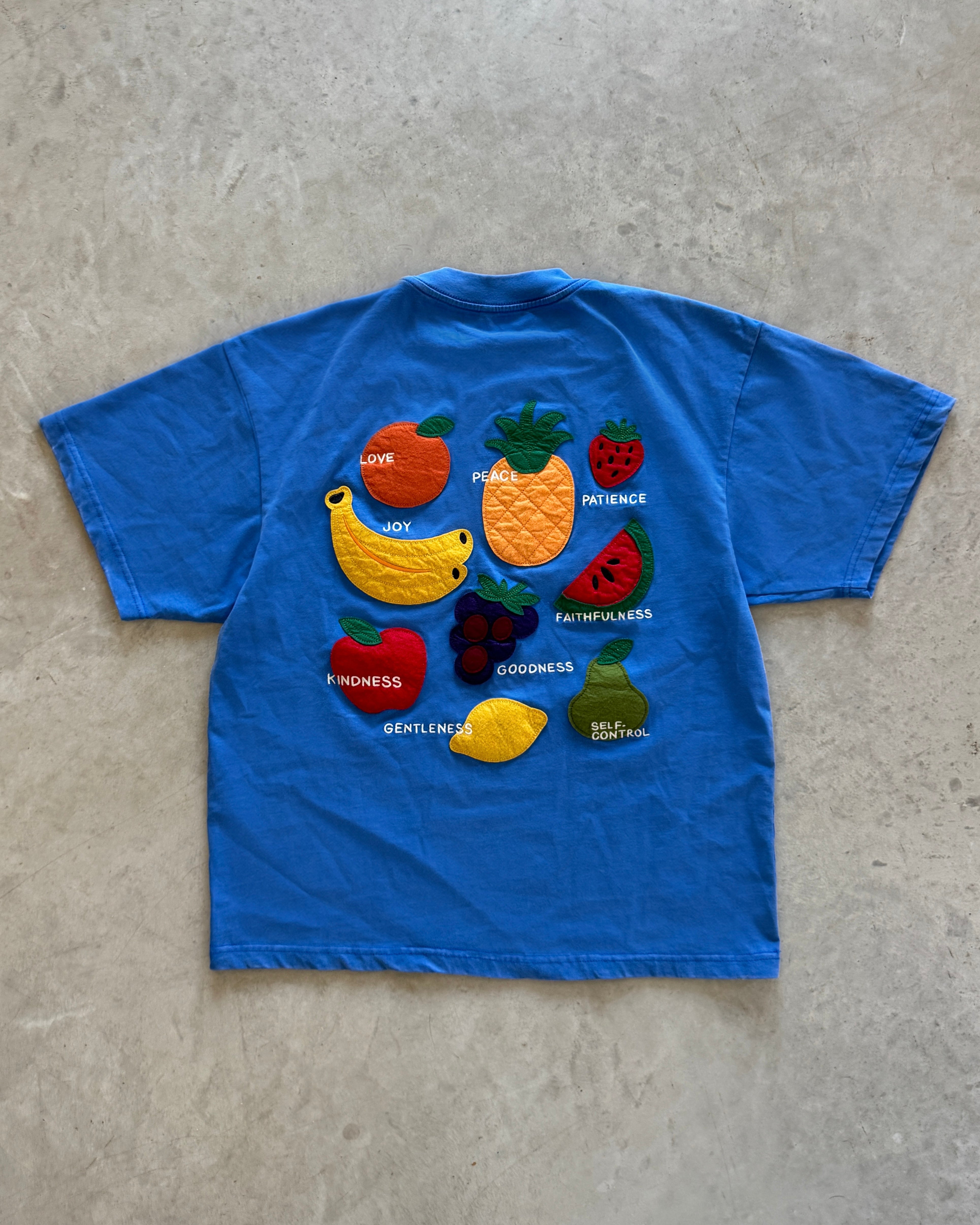 "Fruit of the Spirit - Felt Board" Vintage Tee