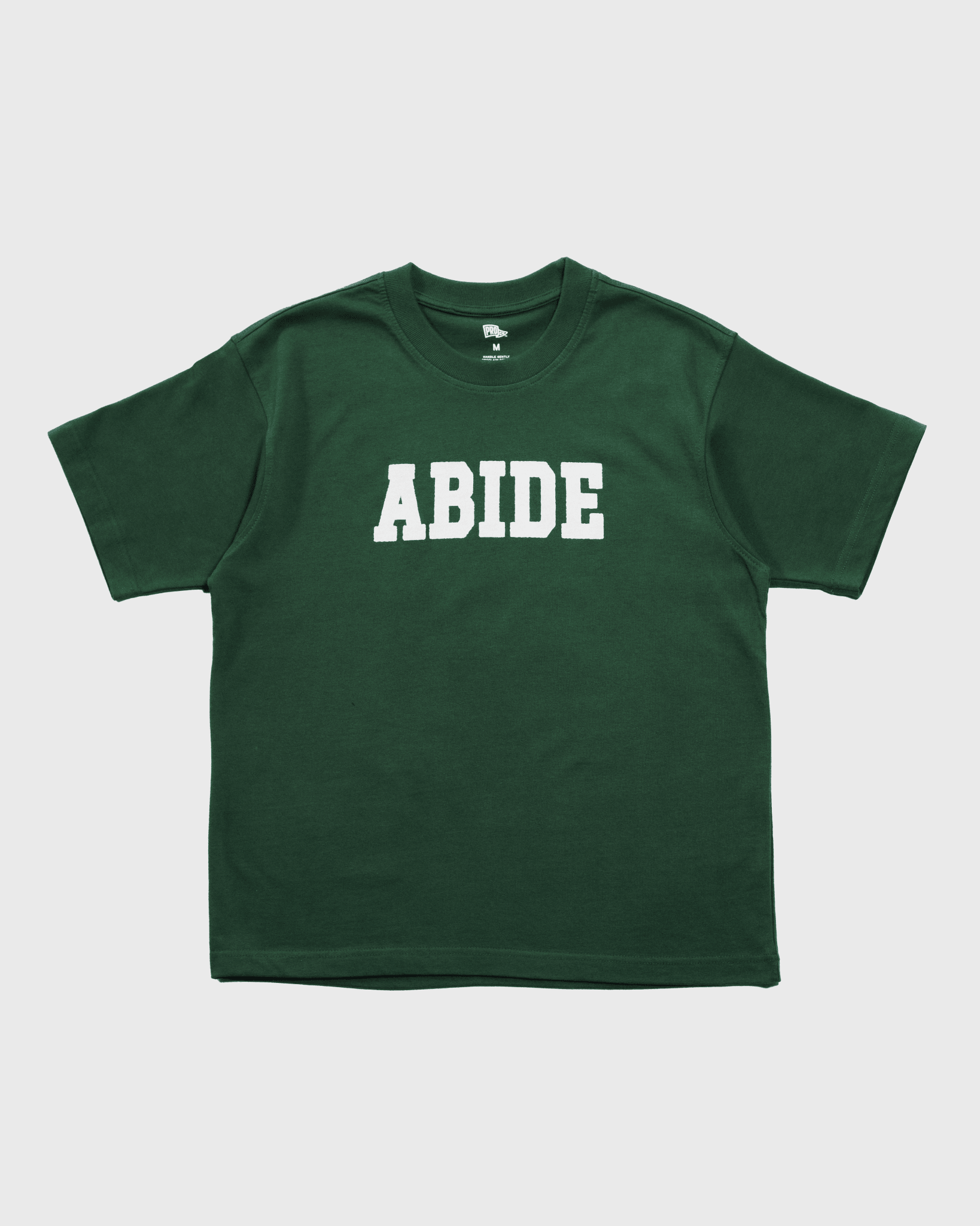"Abide" Green Heavyweight Tee - Proclamation Coalition