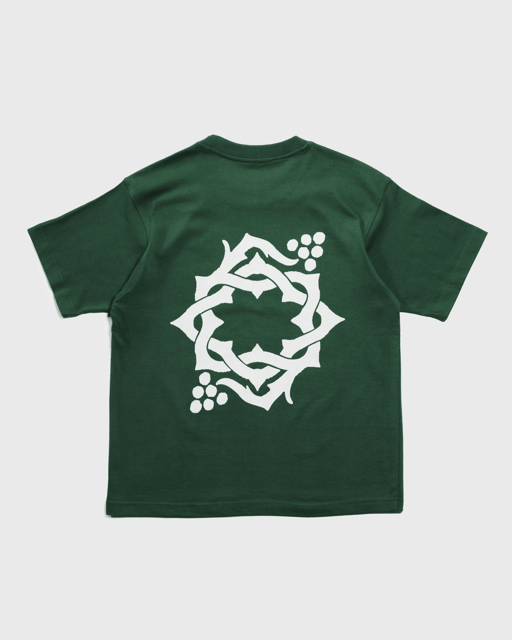 "Abide" Green Heavyweight Tee - Proclamation Coalition