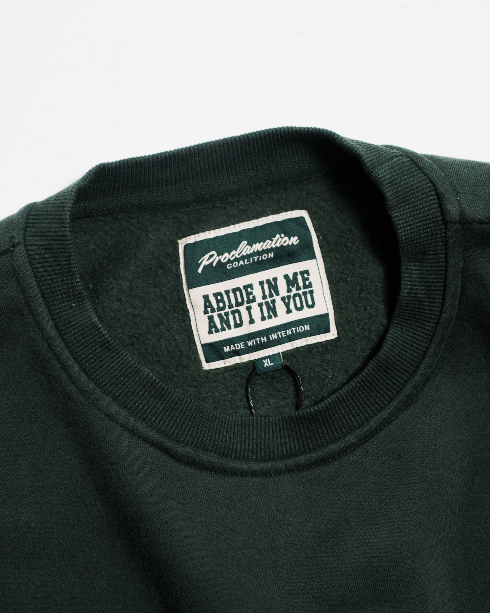 "Abide" Pine Comfort Crewneck - Proclamation Coalition