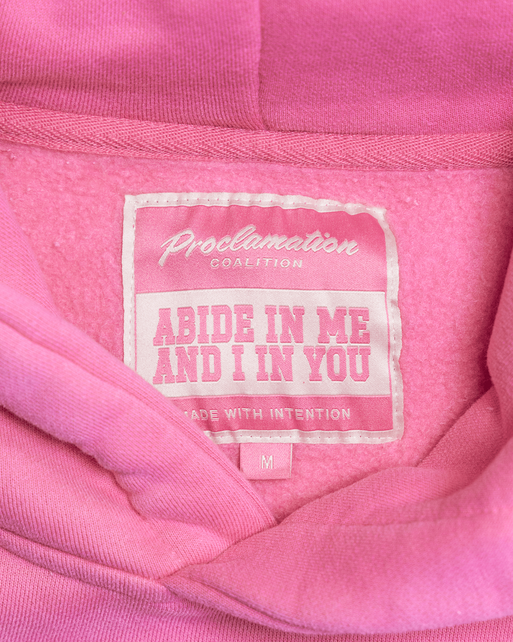 "Abide" Pink Comfort Hoodie (Limited Edition) - Proclamation Coalition