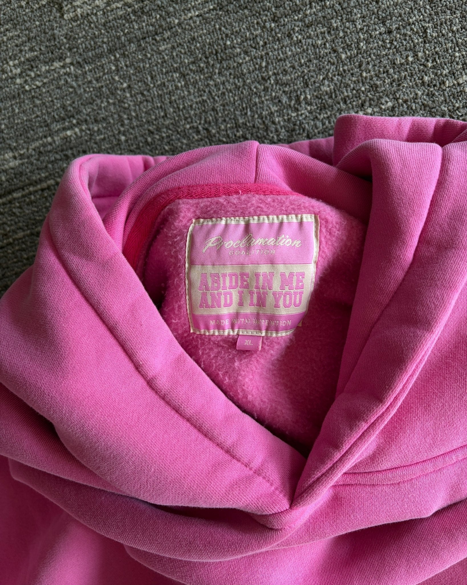 "Abide" Pink Comfort Hoodie (Limited Edition) - Proclamation Coalition
