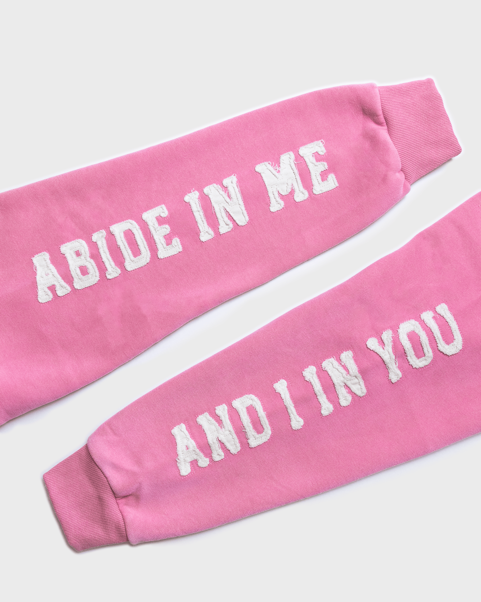 "Abide" Pink Comfort Hoodie (Limited Edition) - Proclamation Coalition