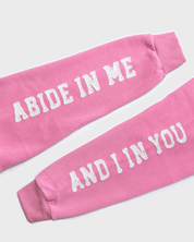 "Abide" Pink Comfort Hoodie (Limited Edition) - Proclamation Coalition