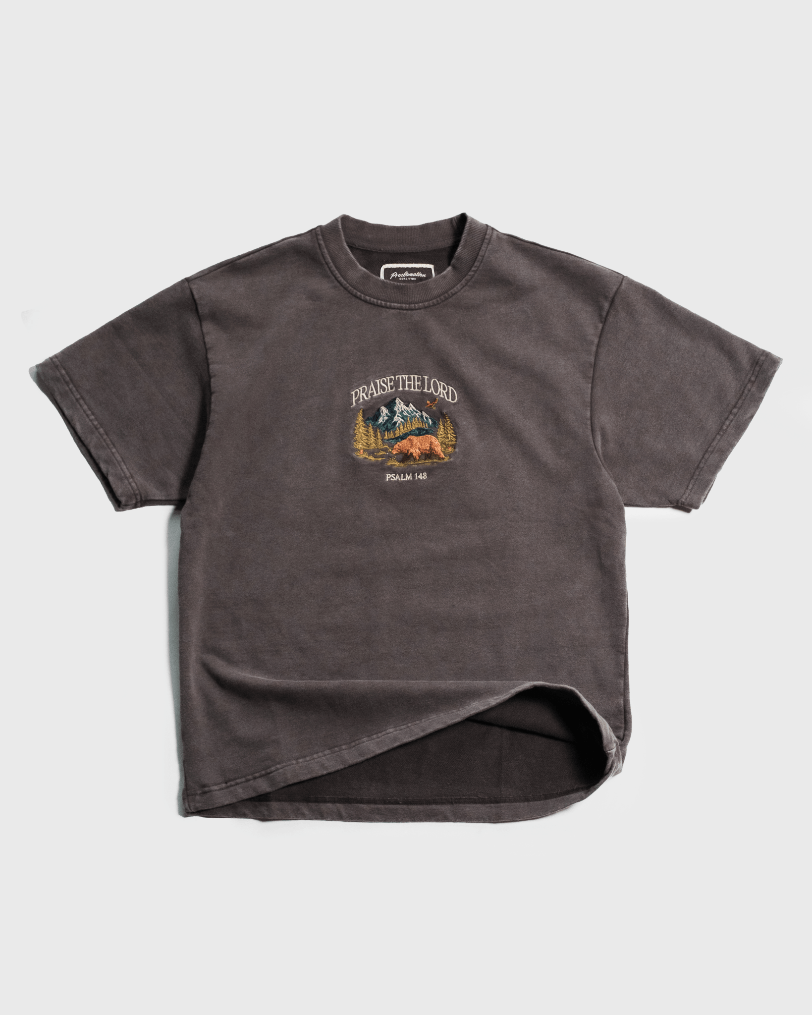 "All Creation PTL" Espresso Heavyweight+ Tee - Proclamation Coalition