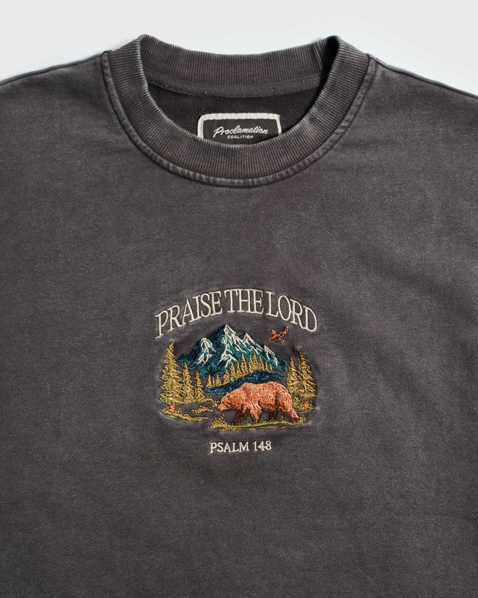 "All Creation PTL" Espresso Heavyweight+ Tee - Proclamation Coalition