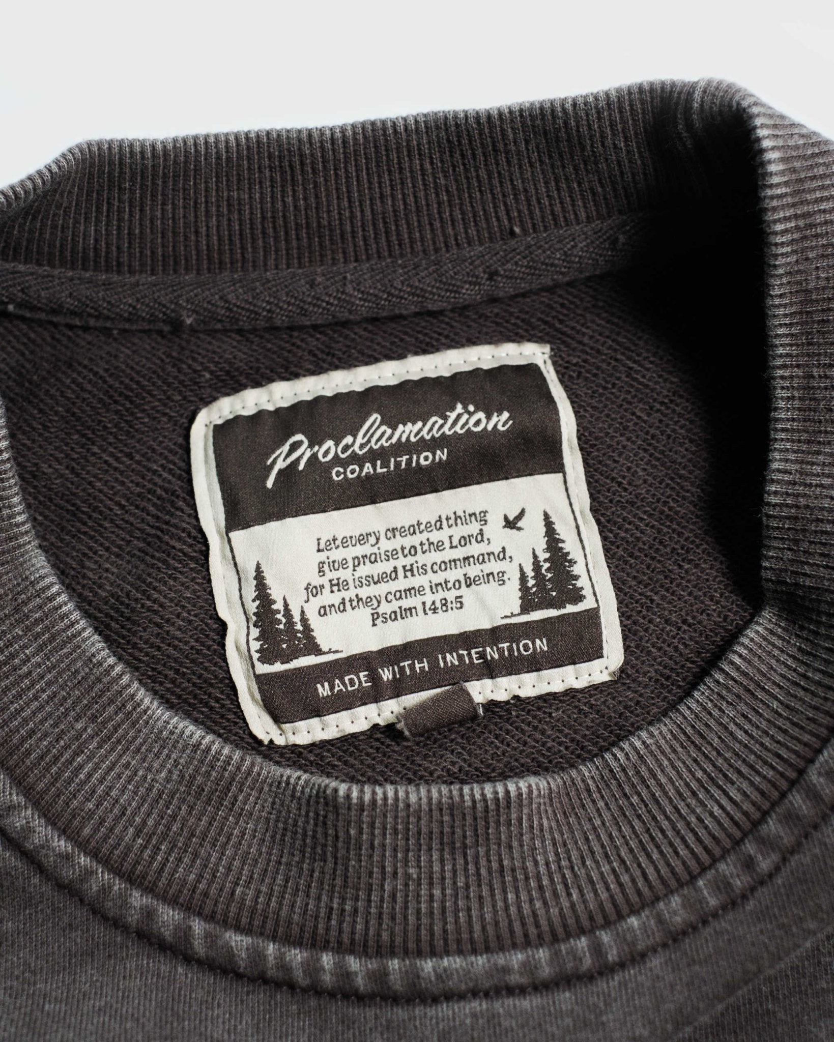 "All Creation PTL" Espresso Heavyweight+ Tee - Proclamation Coalition