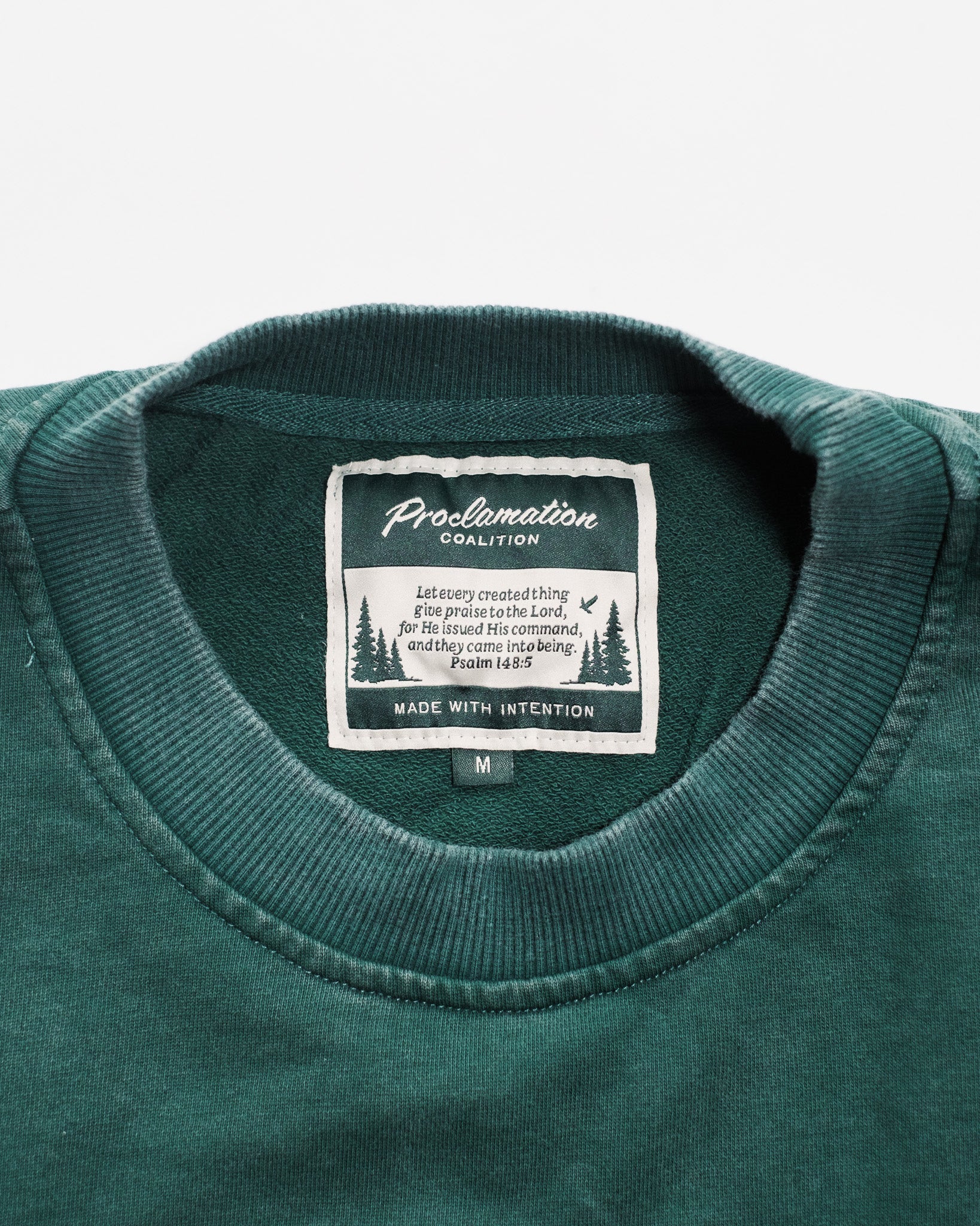 "All Creation PTL" Forest Green Heavyweight+ Tee - Proclamation Coalition