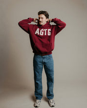 "All Glory To God" Comfort Hoodie - Proclamation Coalition