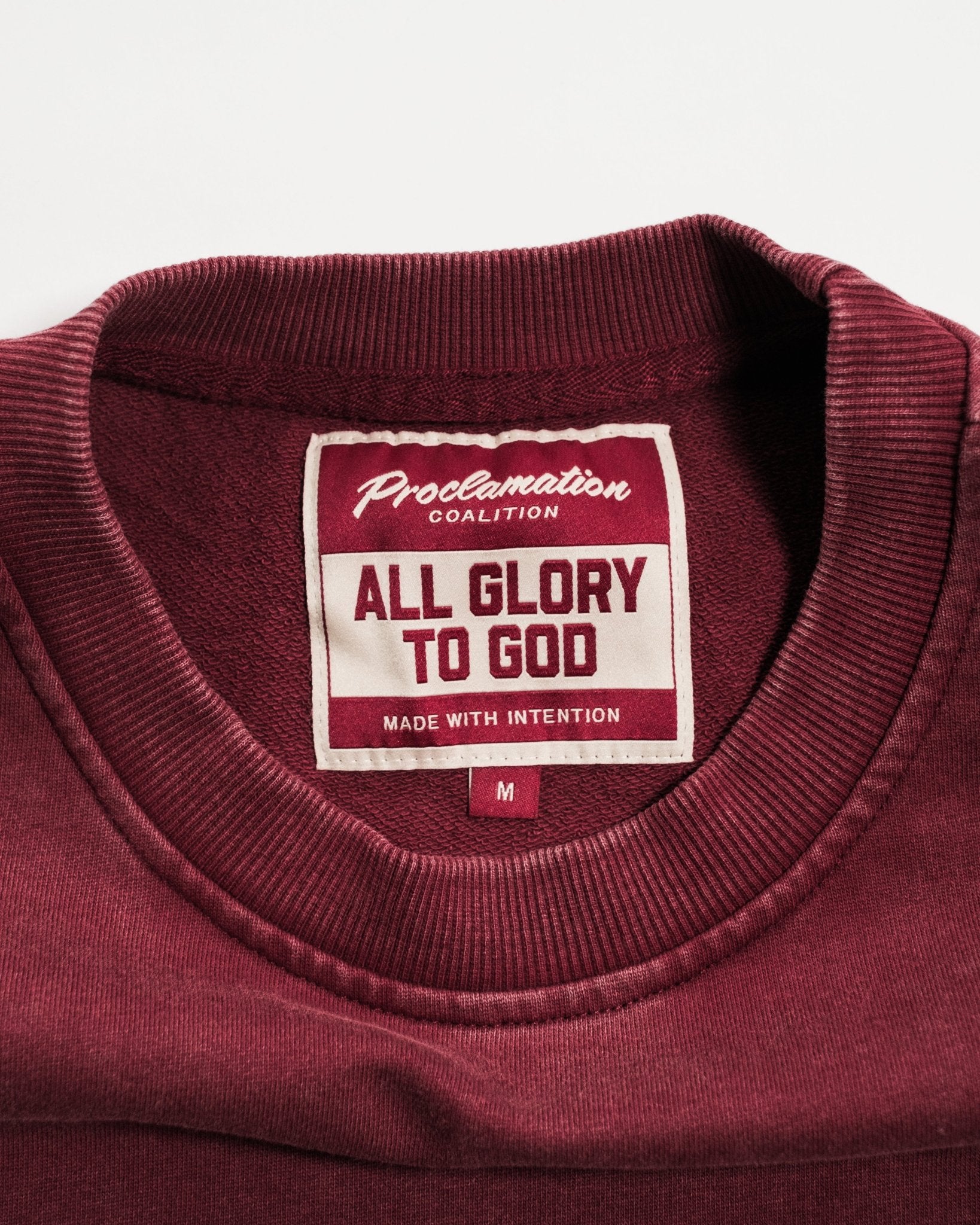 "All Glory To God" Heavyweight+ Tee - Proclamation Coalition