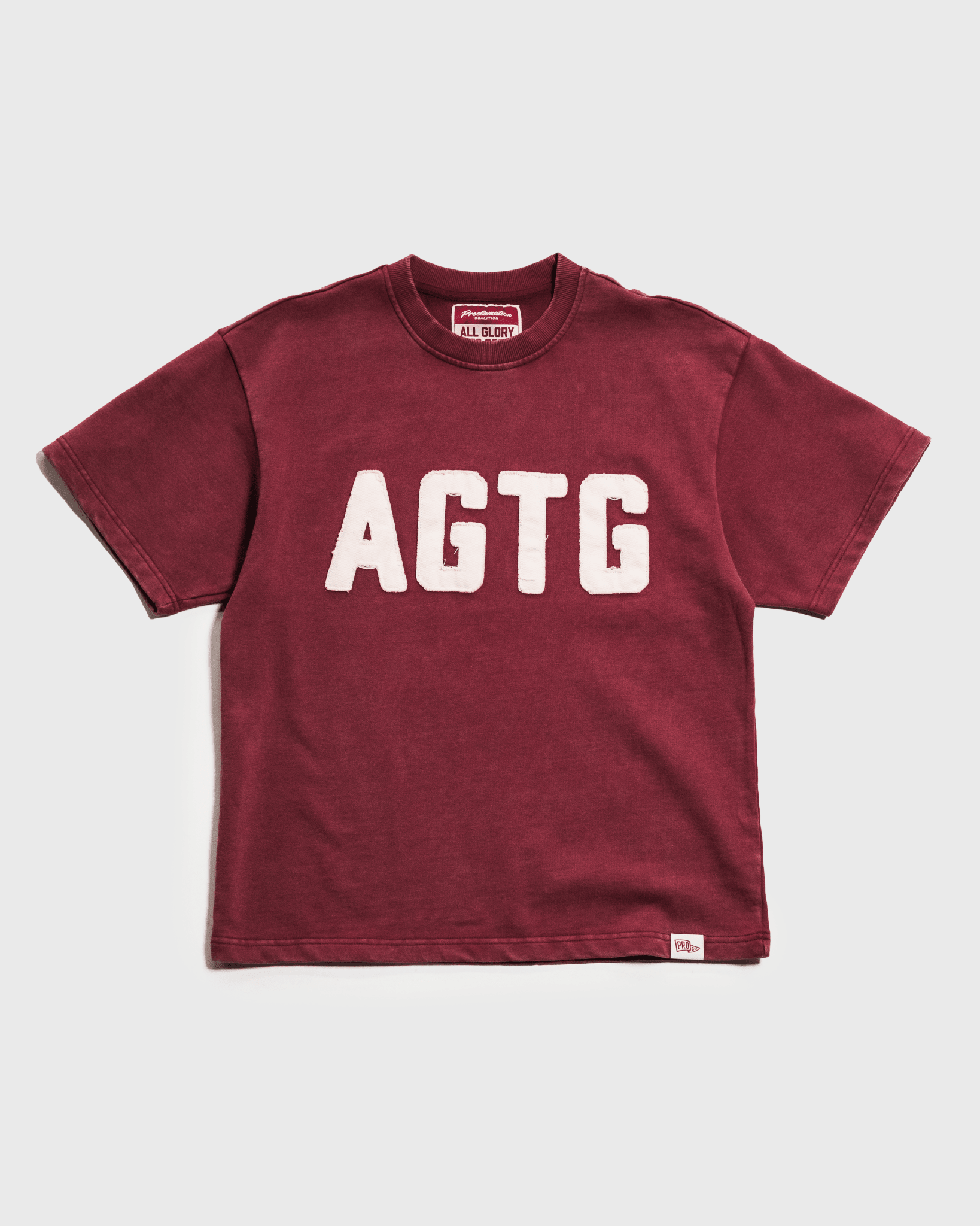"All Glory To God" Heavyweight+ Tee - Proclamation Coalition