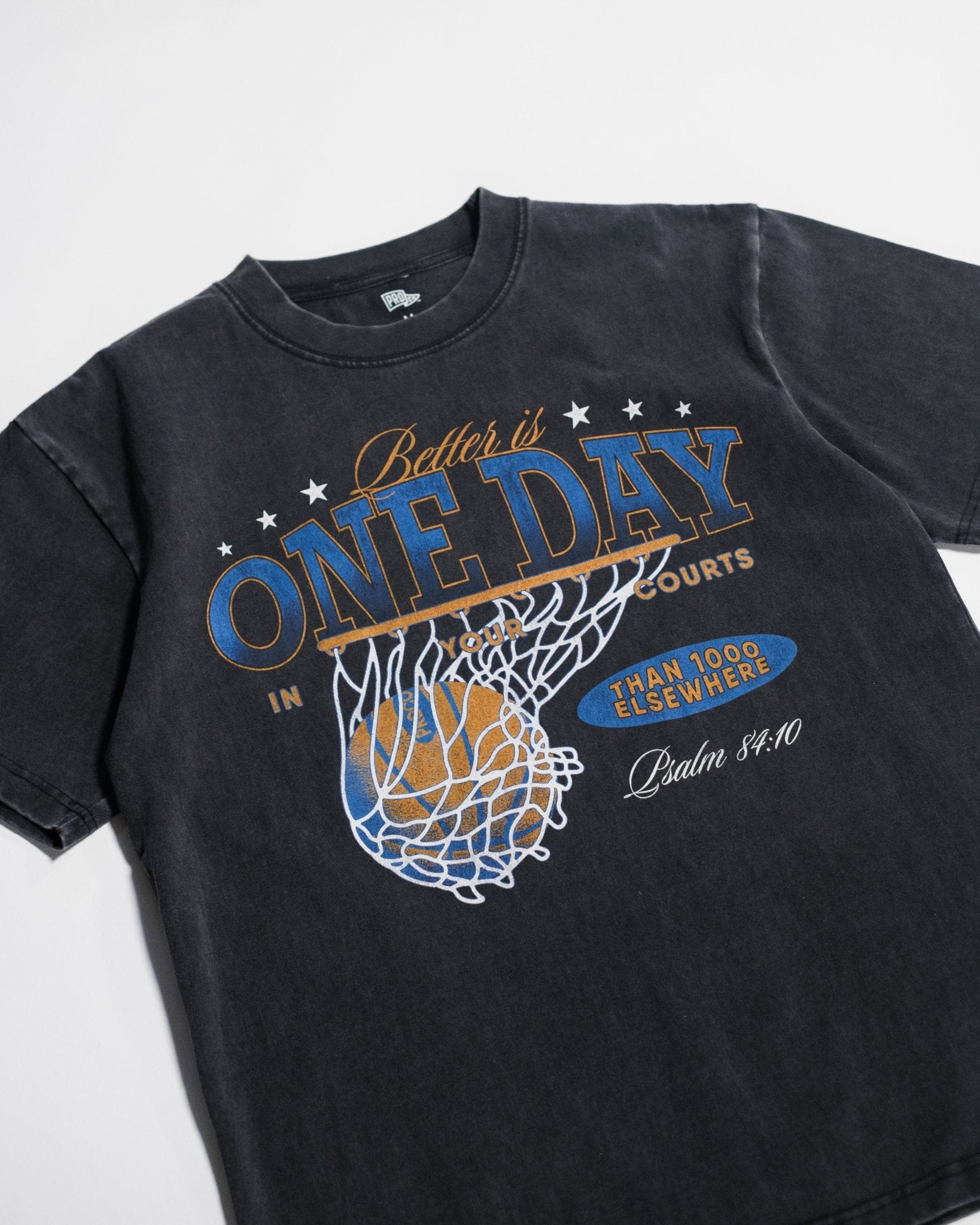 "Courts of the Lord" Vintage Heavyweight Tee - Proclamation Coalition