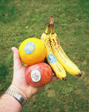 "Fruit Labels" Sticker Sheet - Proclamation Coalition