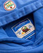 "Fruit of the Spirit - Felt Board" French Terry Hoodie - Proclamation Coalition