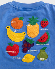 "Fruit of the Spirit - Felt Board" Kids Boxy Tee - Proclamation Coalition