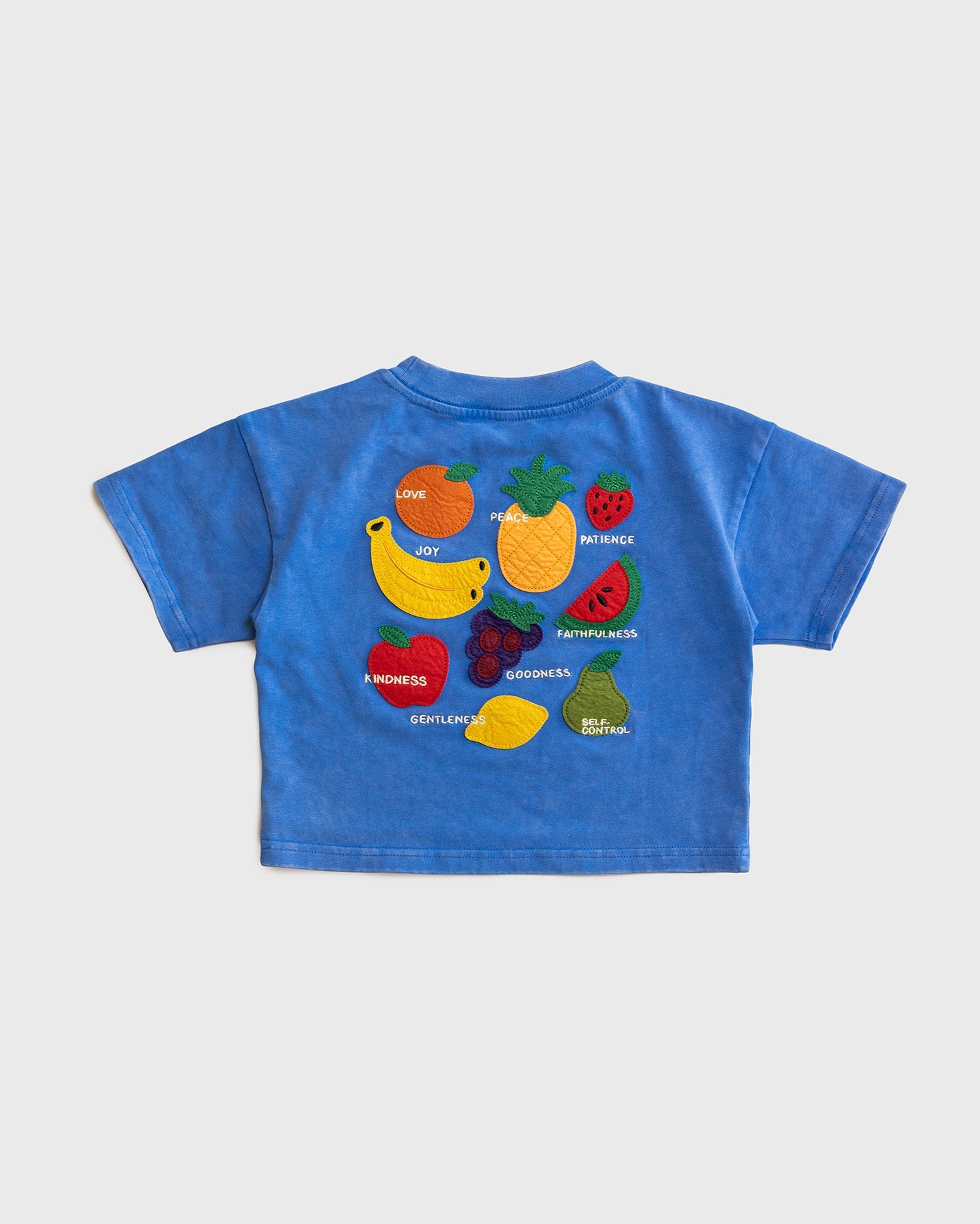 "Fruit of the Spirit - Felt Board" Kids Boxy Tee - Proclamation Coalition