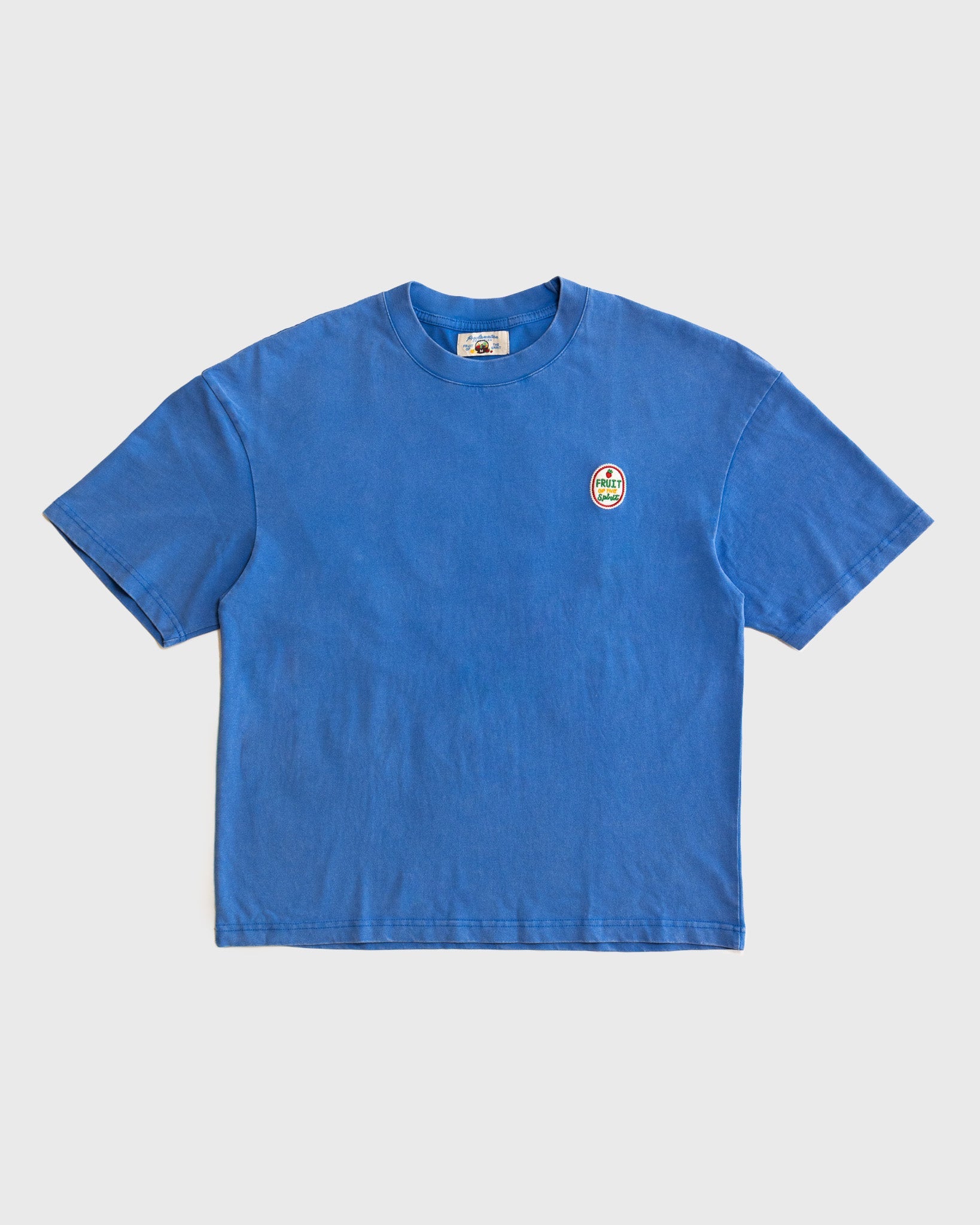 "Fruit of the Spirit - Felt Board" Vintage Tee - Proclamation Coalition