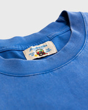 "Fruit of the Spirit - Felt Board" Vintage Tee - Proclamation Coalition