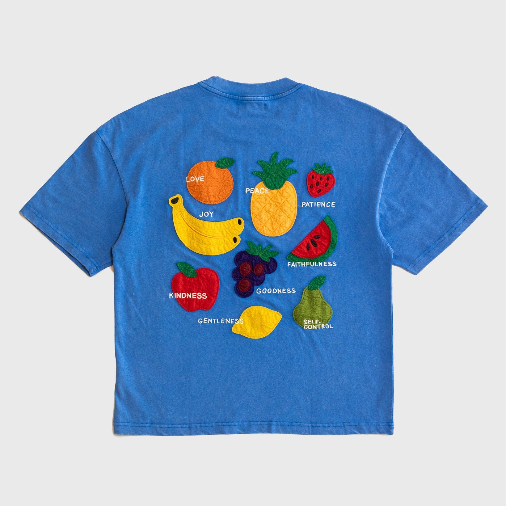 "Fruit of the Spirit - Felt Board" Vintage Tee - Proclamation Coalition