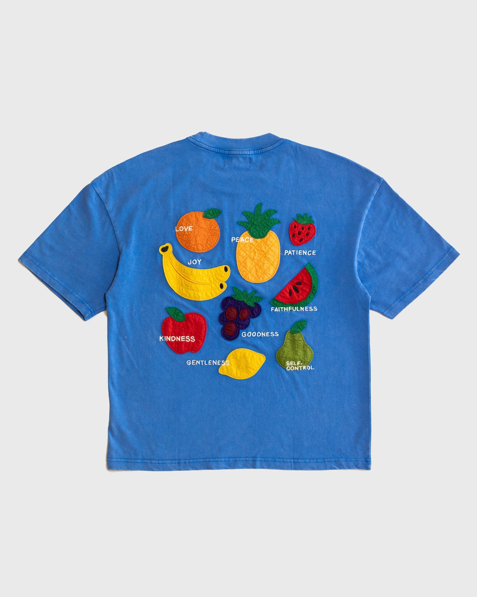 "Fruit of the Spirit - Felt Board" Vintage Tee - Proclamation Coalition
