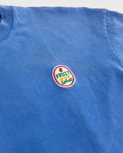 "Fruit of the Spirit - Felt Board" Vintage Tee - Proclamation Coalition