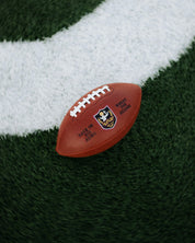 "Homecoming" Game Ball (Limited Edition) - Proclamation Coalition