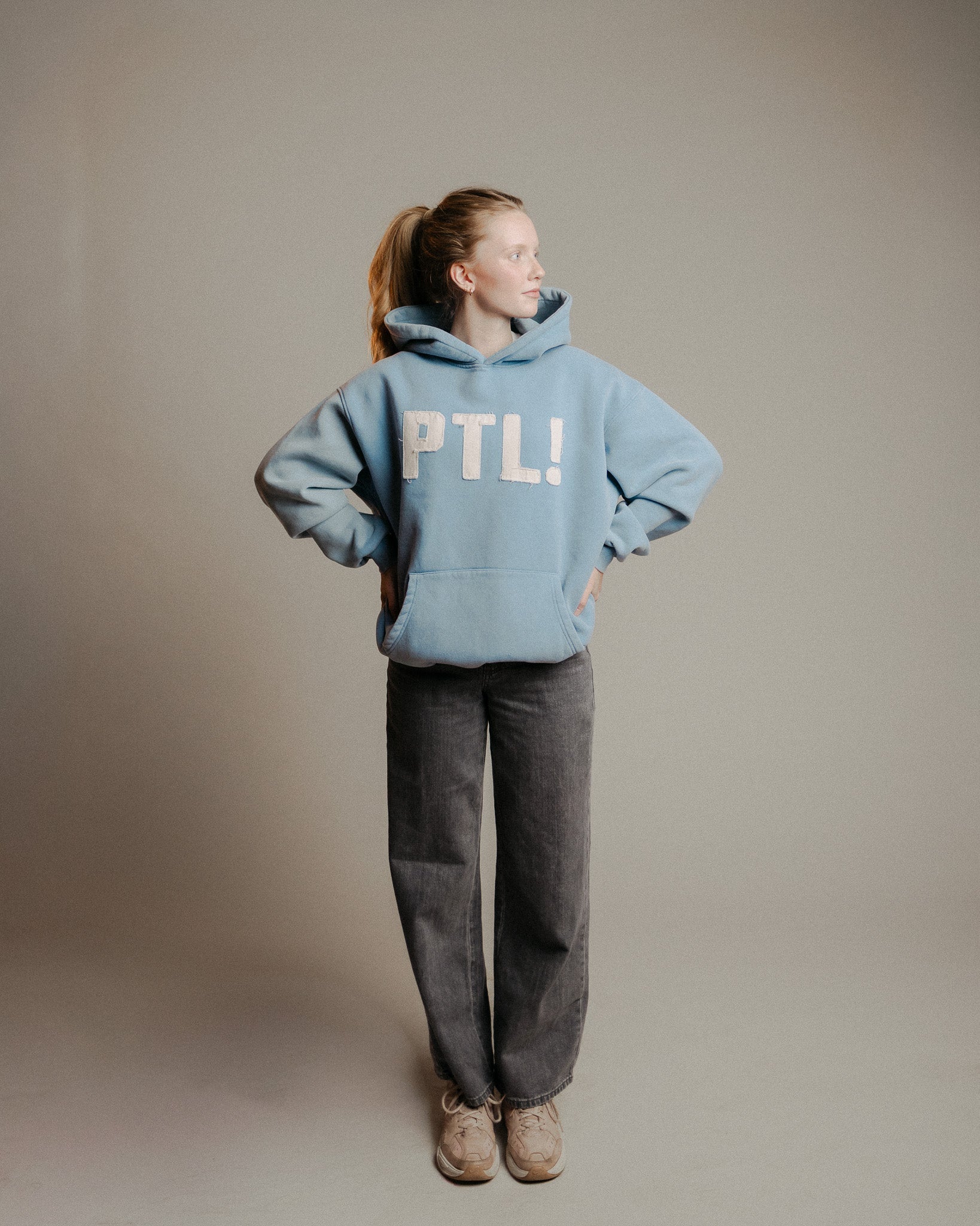 "Praise the Lord!" Comfort Hoodie - Proclamation Coalition