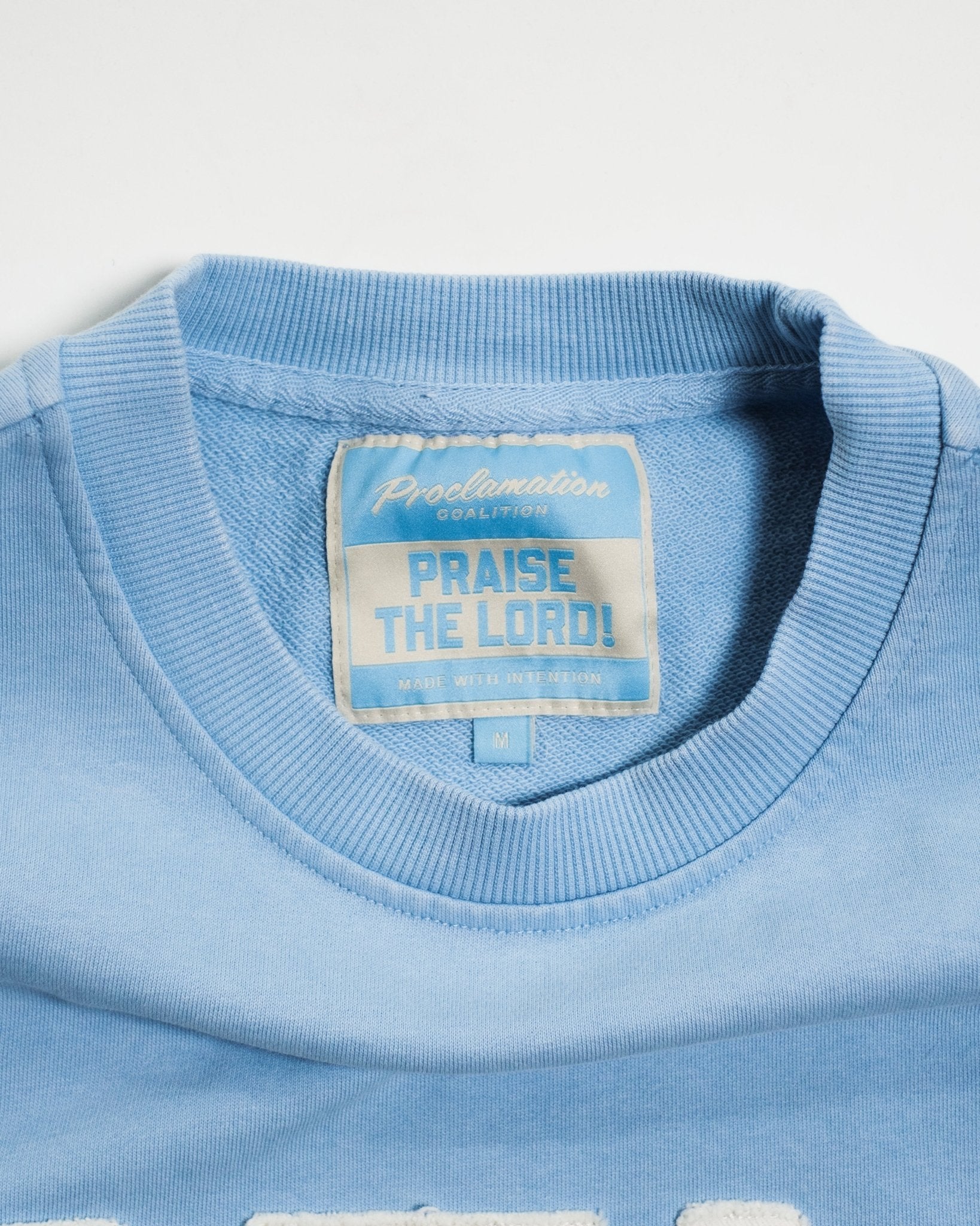 "Praise the Lord!" Heavyweight+ Tee - Proclamation Coalition