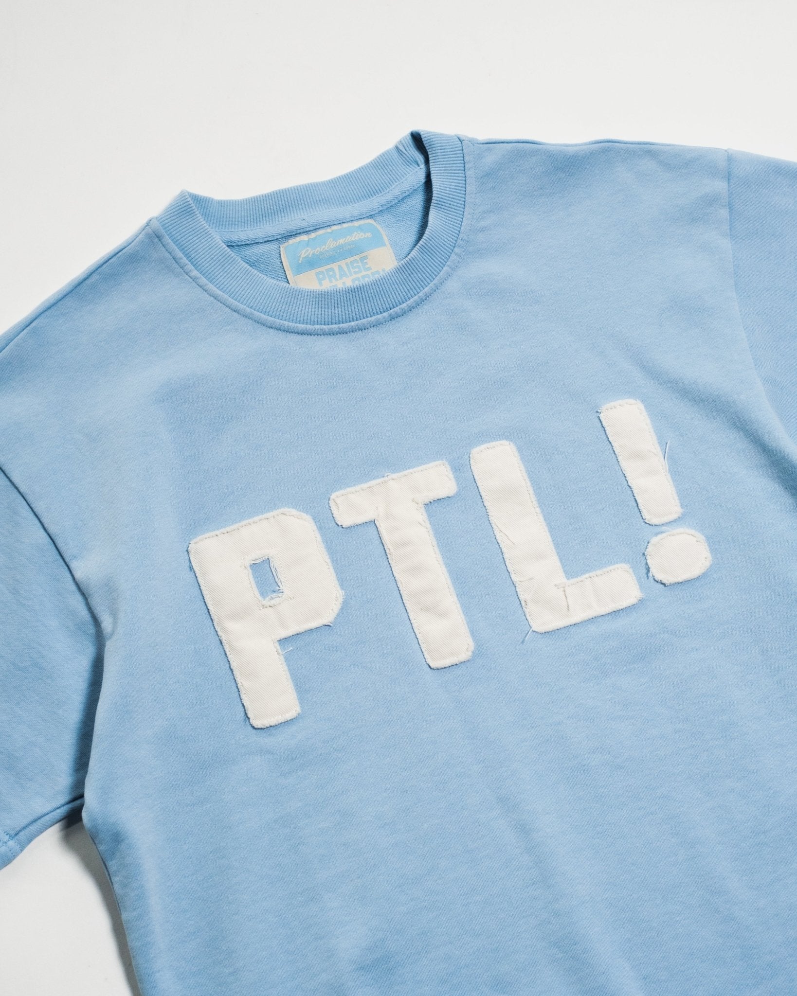 "Praise the Lord!" Heavyweight+ Tee - Proclamation Coalition