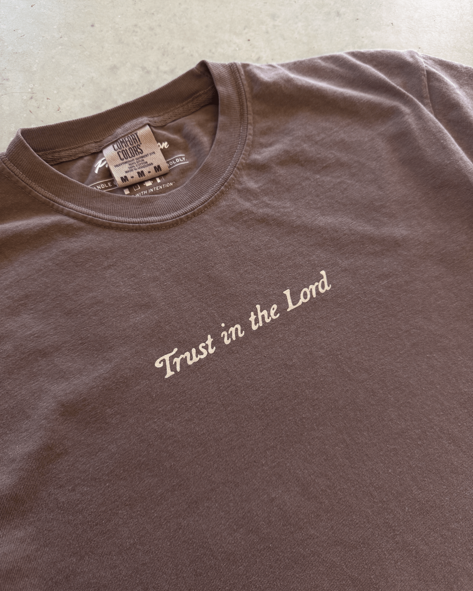"Trust In The Lord" Espresso COMFORT COLORS Tee - Proclamation Coalition