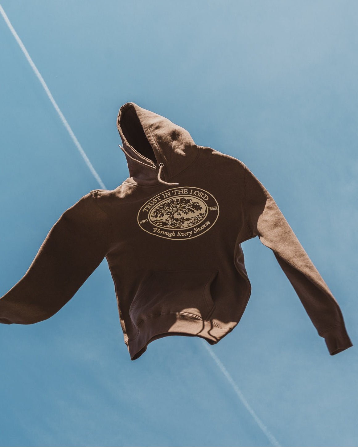 "Trust In The Lord" Hoodie - Proclamation Coalition