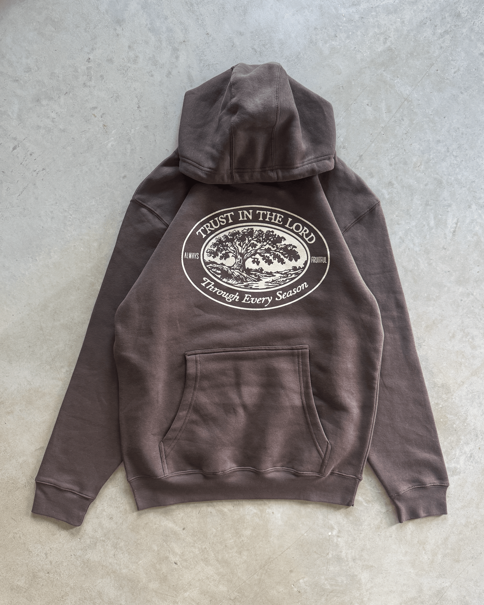 "Trust In The Lord" Hoodie - Proclamation Coalition