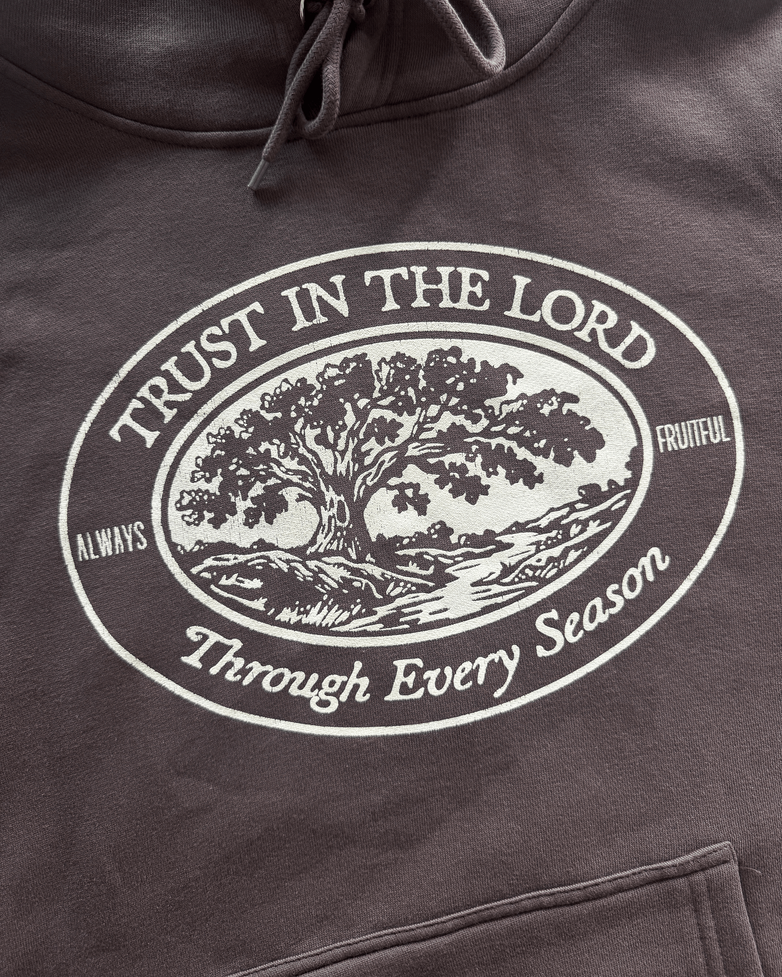 "Trust In The Lord" Hoodie - Proclamation Coalition