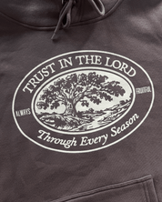 "Trust In The Lord" Hoodie - Proclamation Coalition