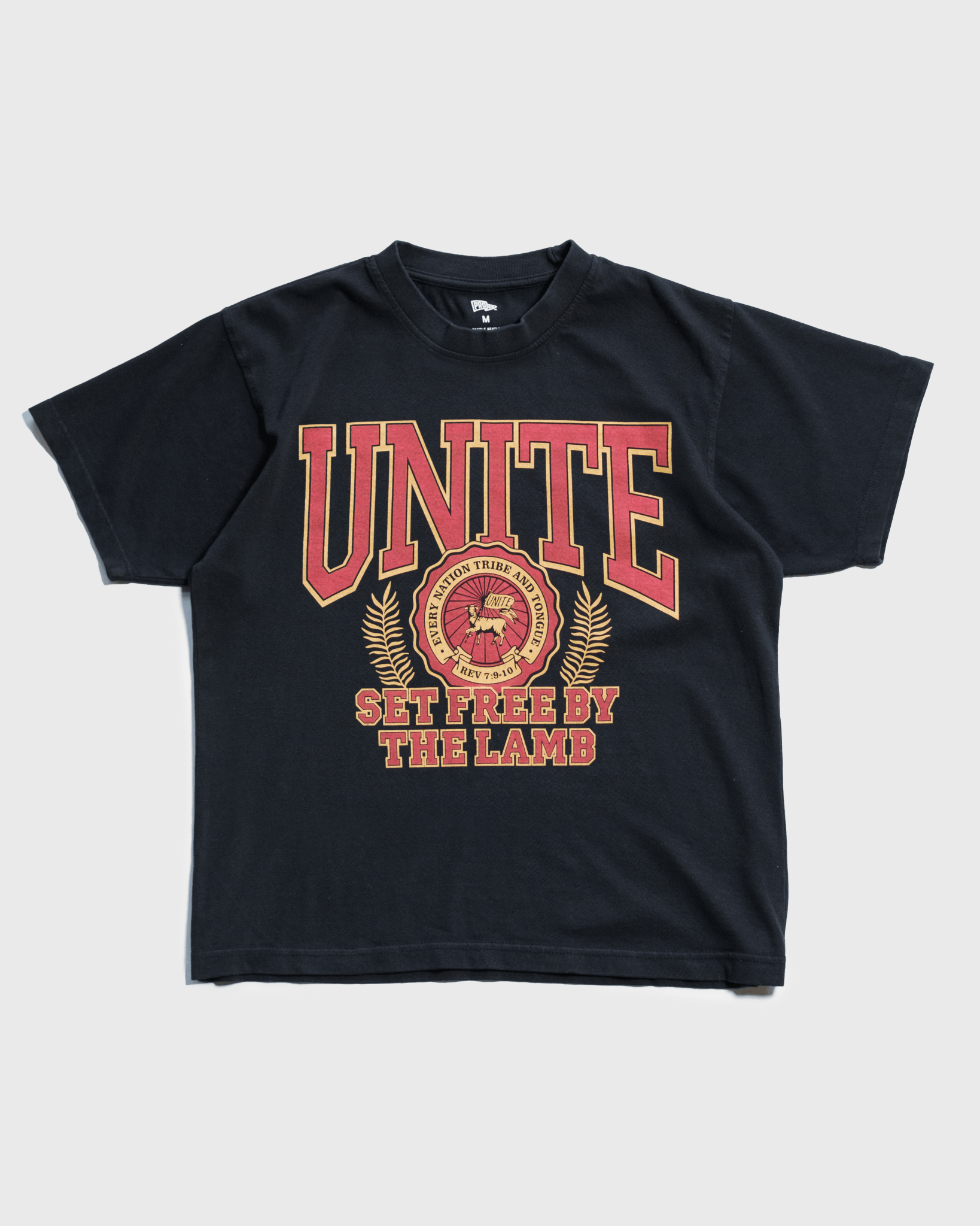 “Unite Vision" Heavyweight Tee - Proclamation Coalition