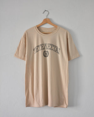 
            
                Load image into Gallery viewer, &amp;quot;It Is Finished&amp;quot; Sandstone University Tee - Proclamation Coalition
            
        